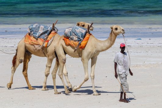 Diani