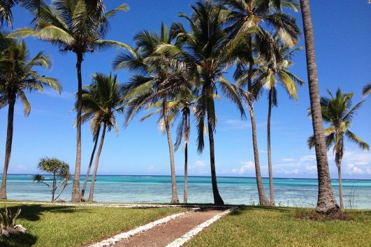 11-Day Tanzanian Safari with Zanzibar Extension
